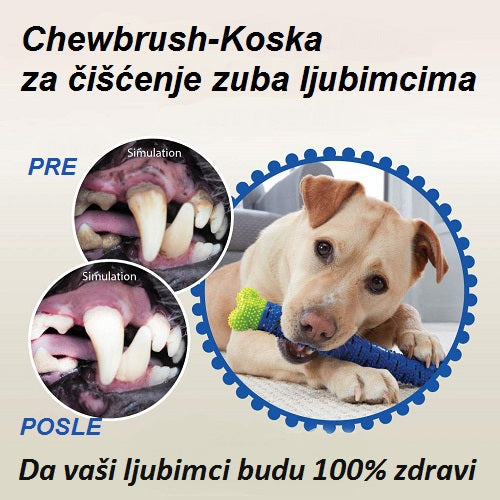 Koska za čišćenje zuba psima